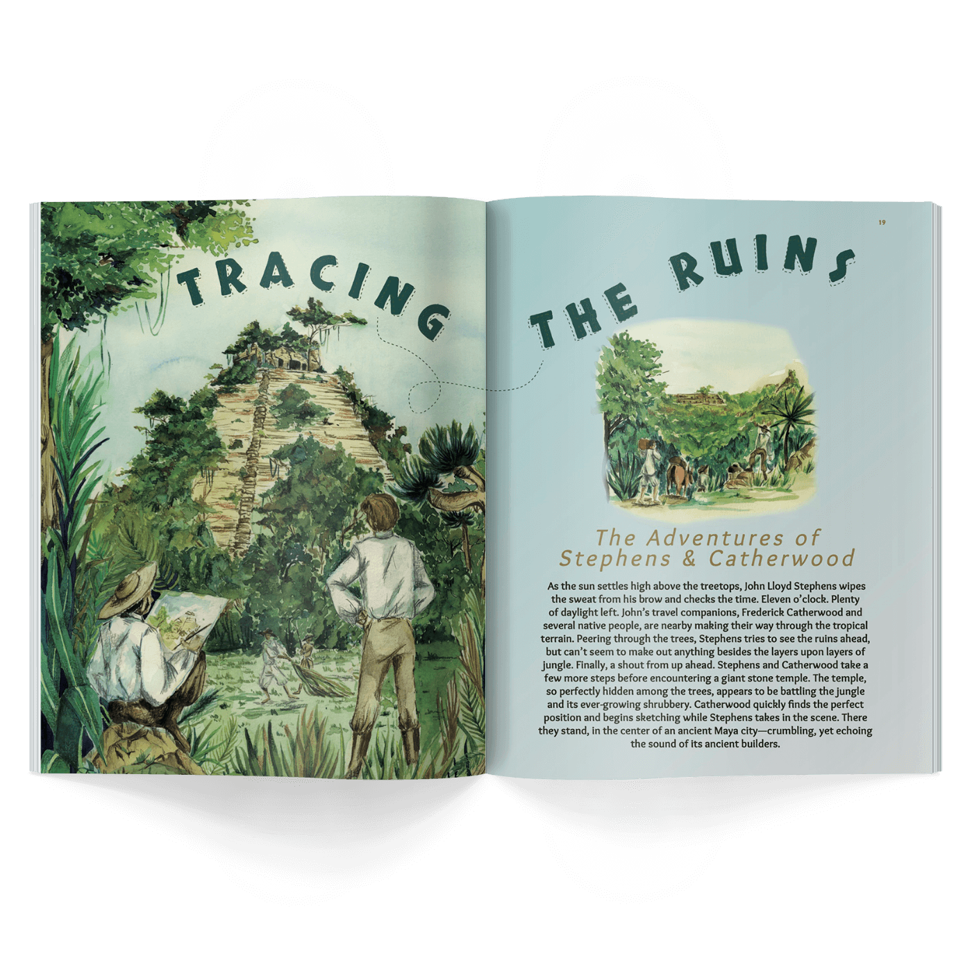 Journey Through the Jungle