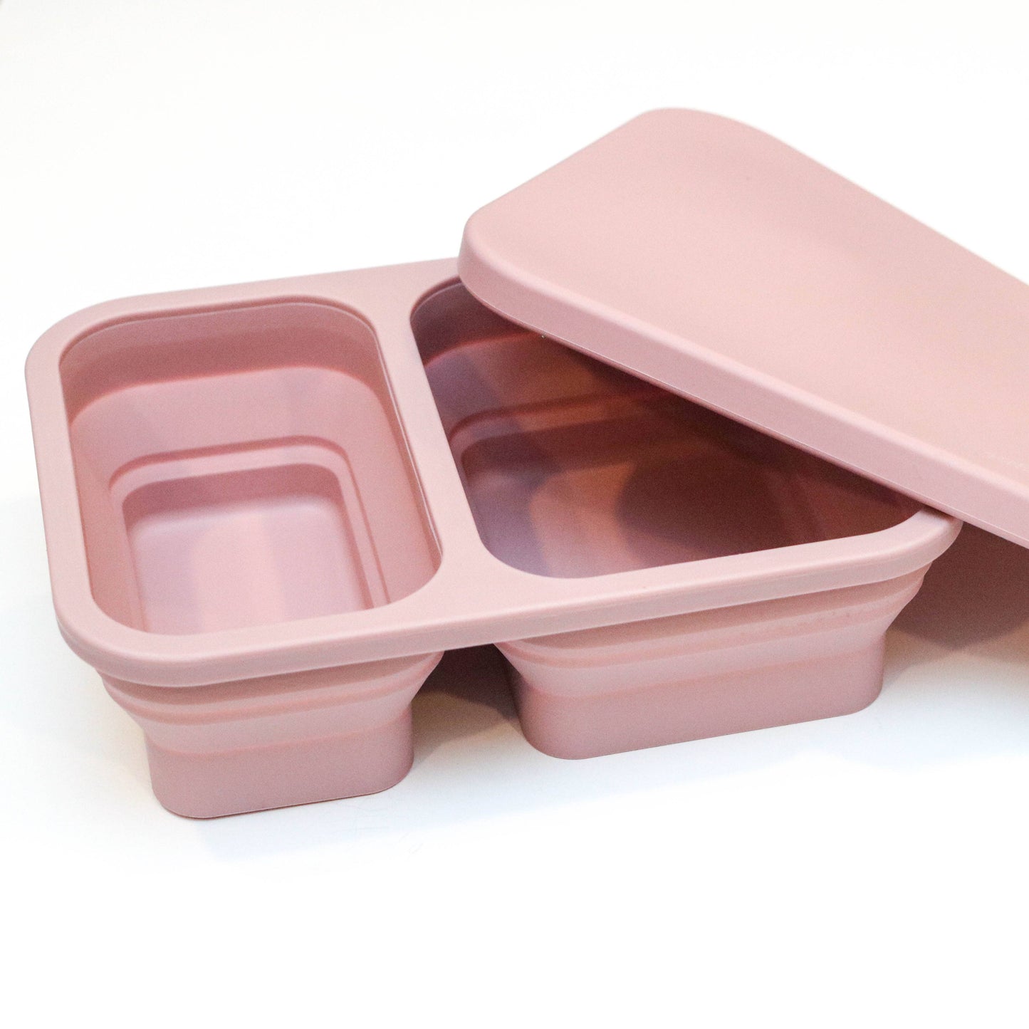 Pop Up Bento Box