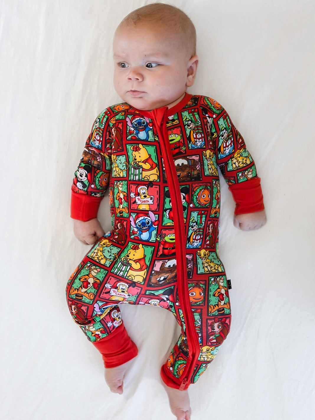 Countdown to Christmas - Zippy