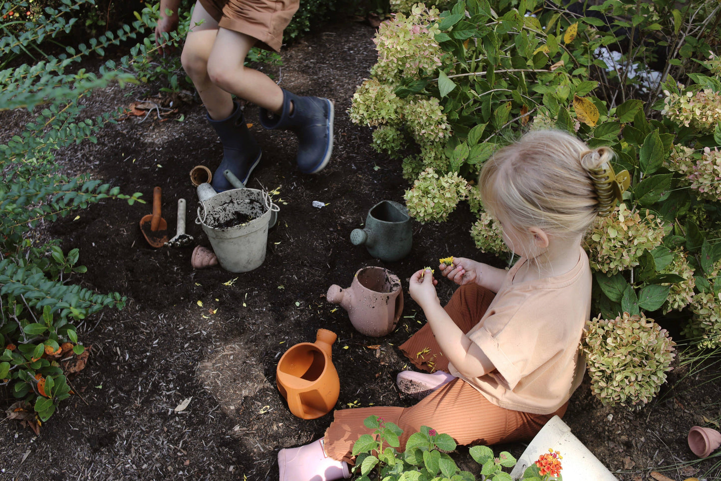 Dried Thyme Garden Set