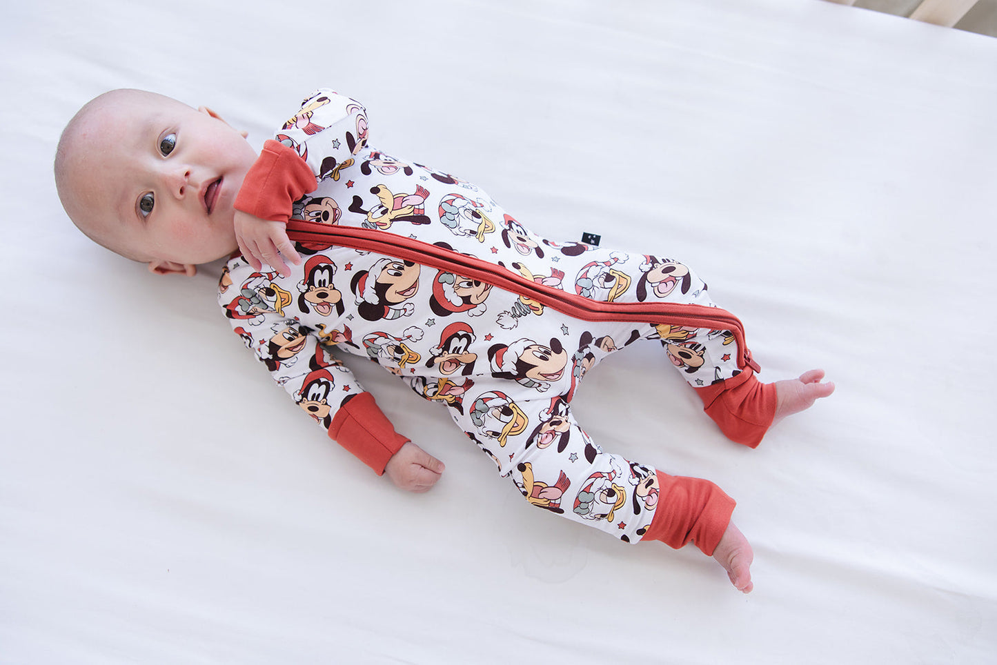 Very Merry Christmas - Zippy