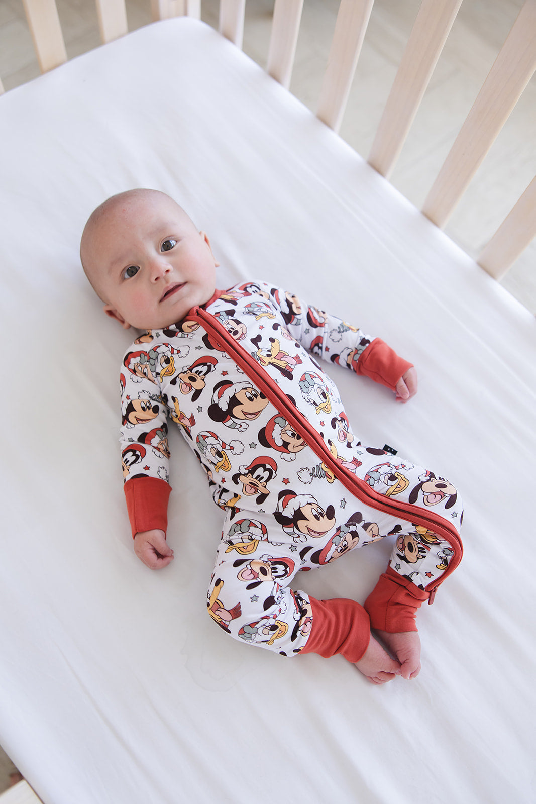 Very Merry Christmas - Zippy