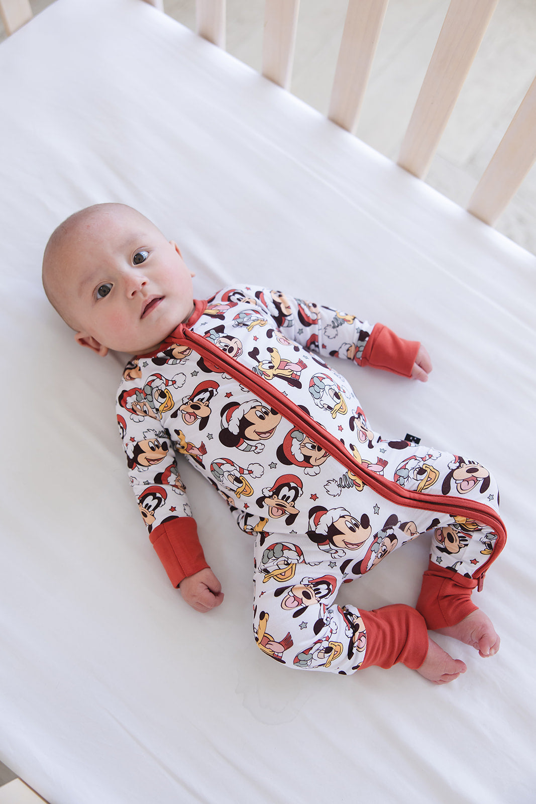 Very Merry Christmas - Zippy