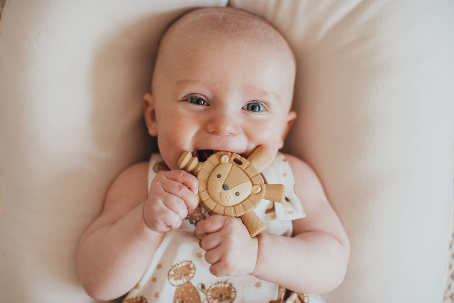 Itzy Ritzy Teether Lion