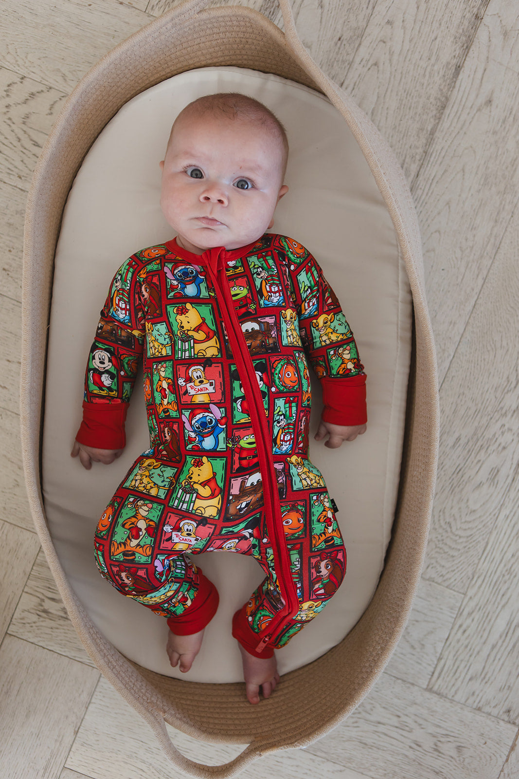 Countdown to Christmas - Zippy