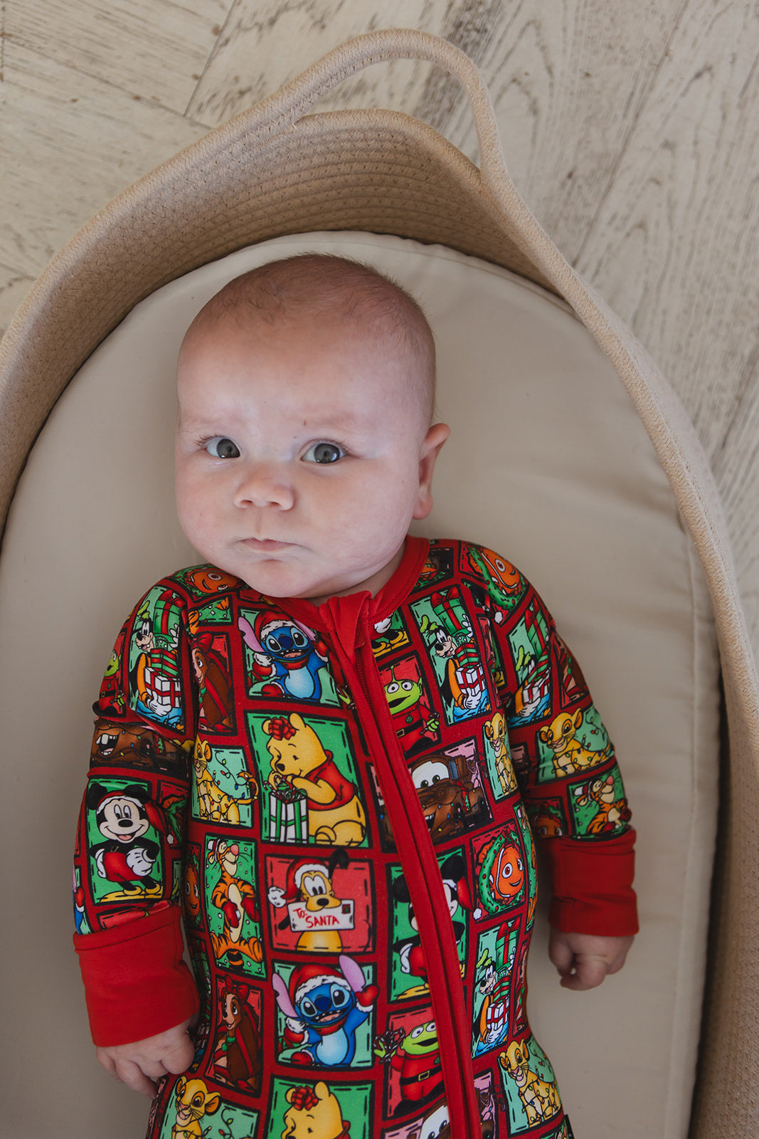 Countdown to Christmas - Zippy