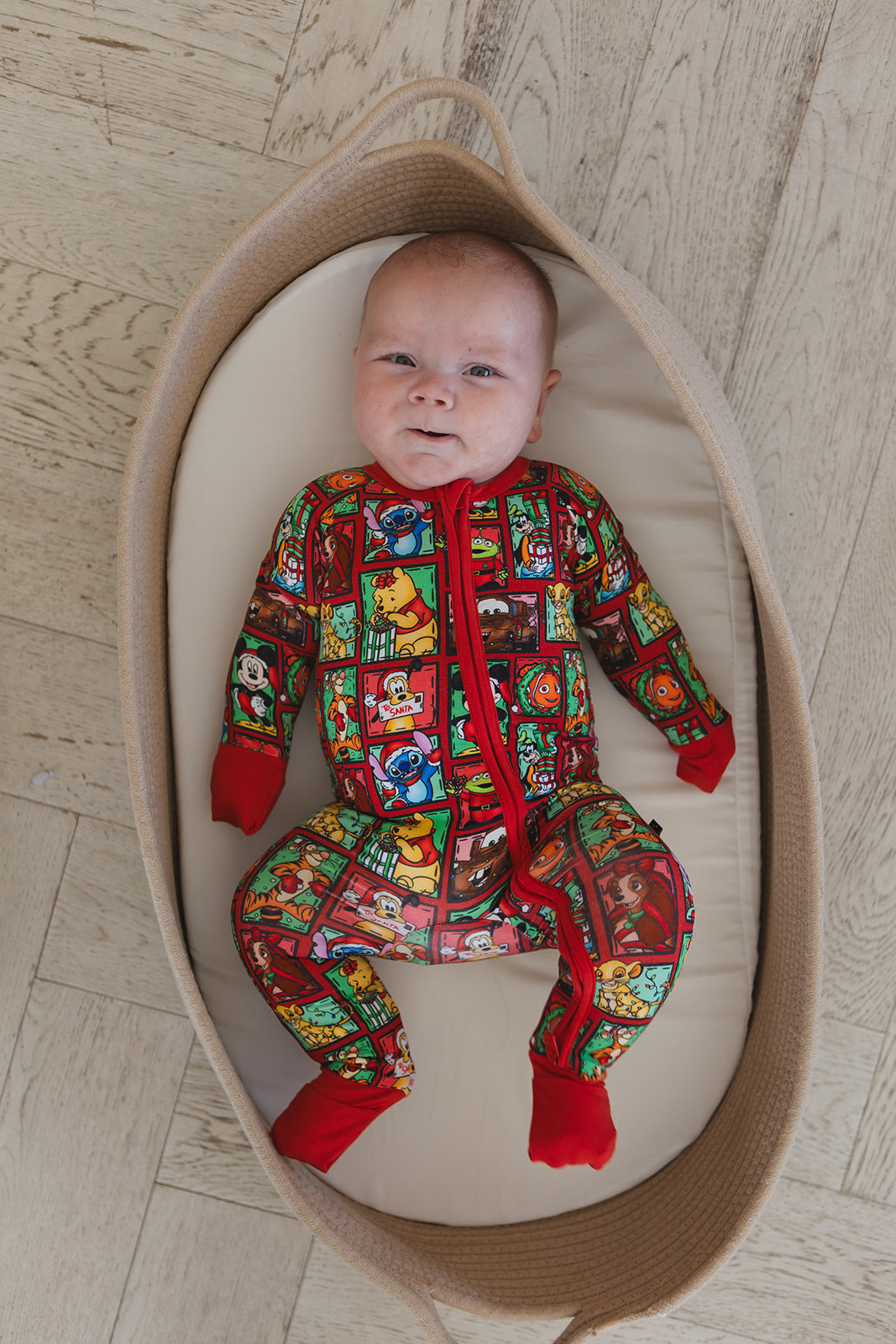 Countdown to Christmas - Zippy