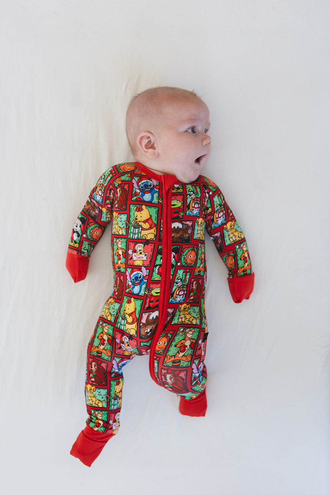 Countdown to Christmas - Zippy