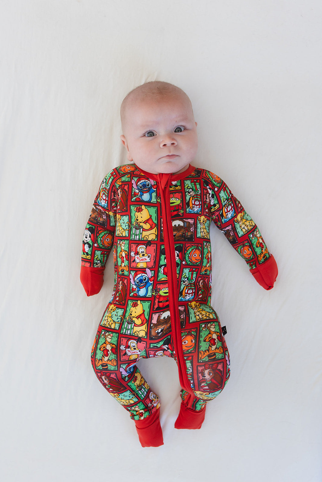 Countdown to Christmas - Zippy