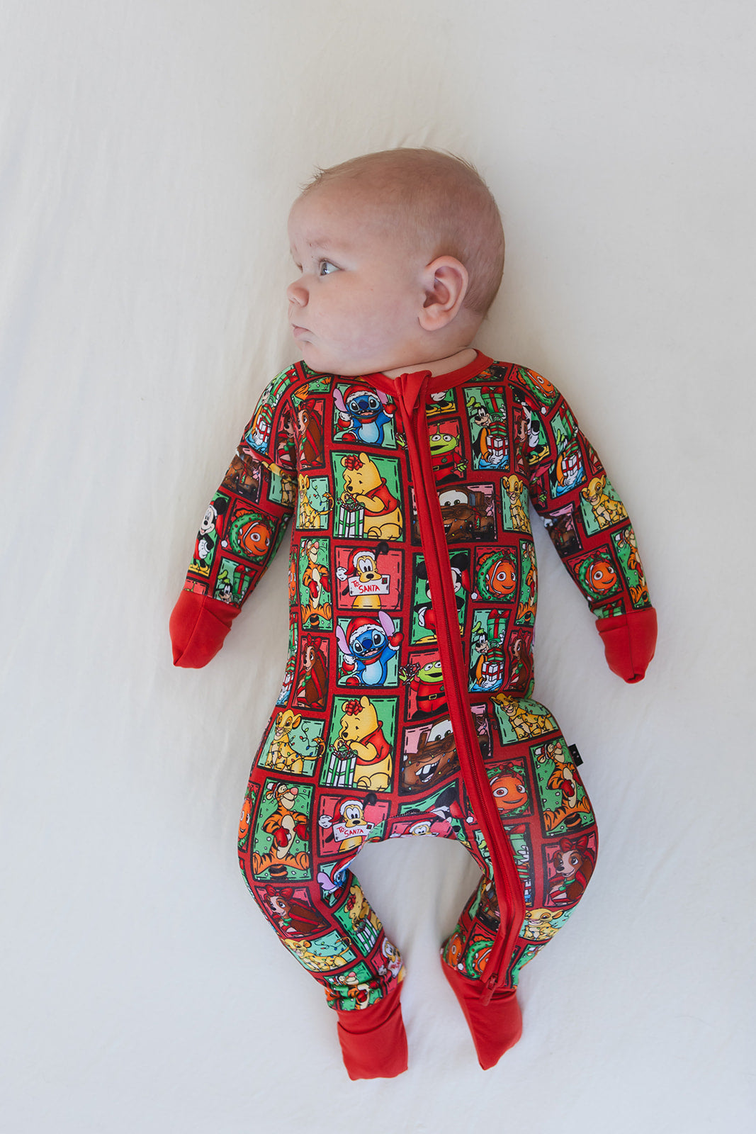 Countdown to Christmas - Zippy