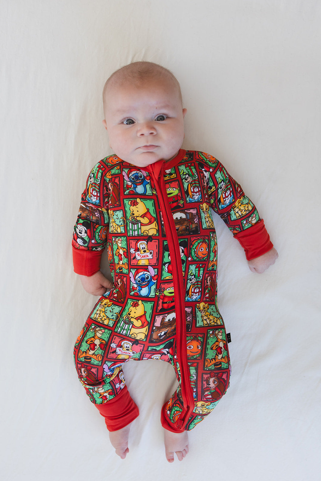 Countdown to Christmas - Zippy