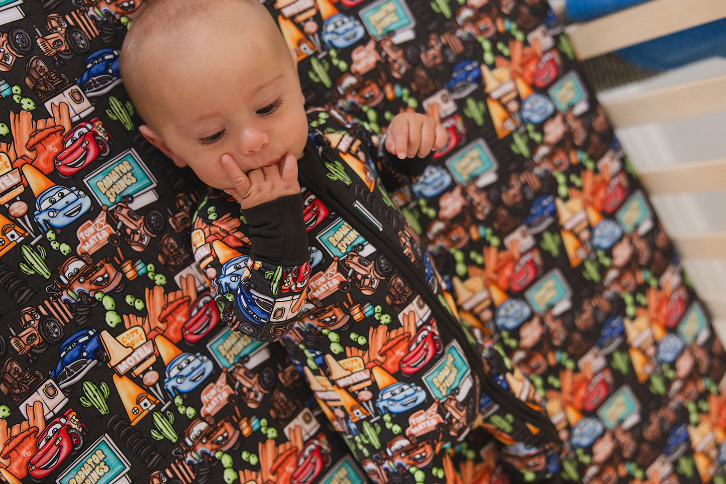 Cozy Cone Adventures - Zippy