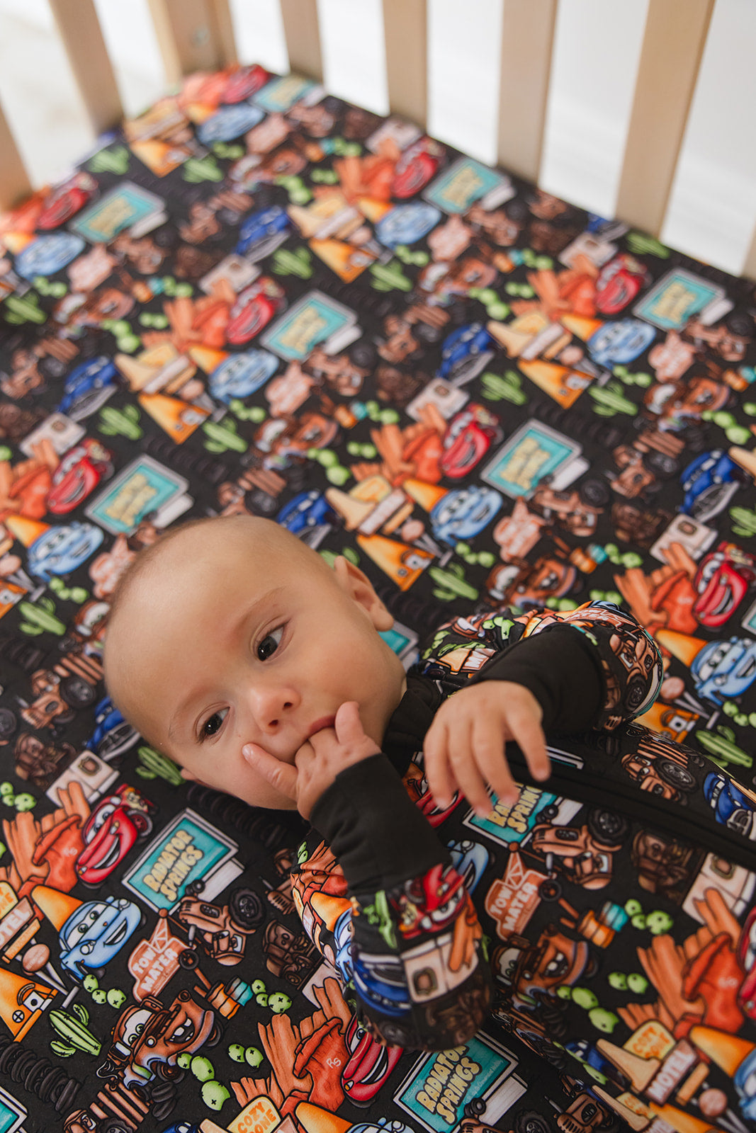 Cozy Cone Adventures - Zippy