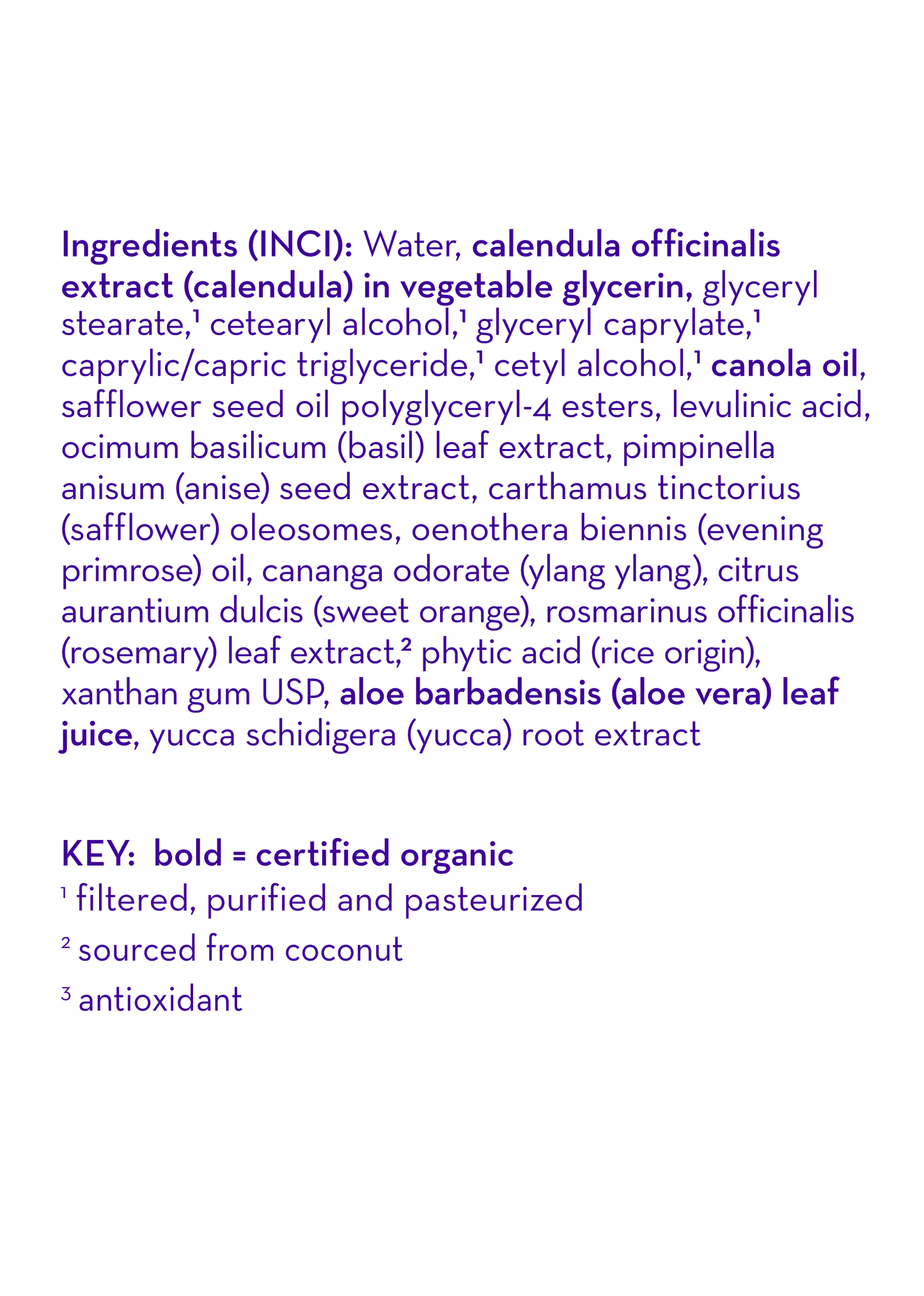 I Love You™ Everyday Lotion