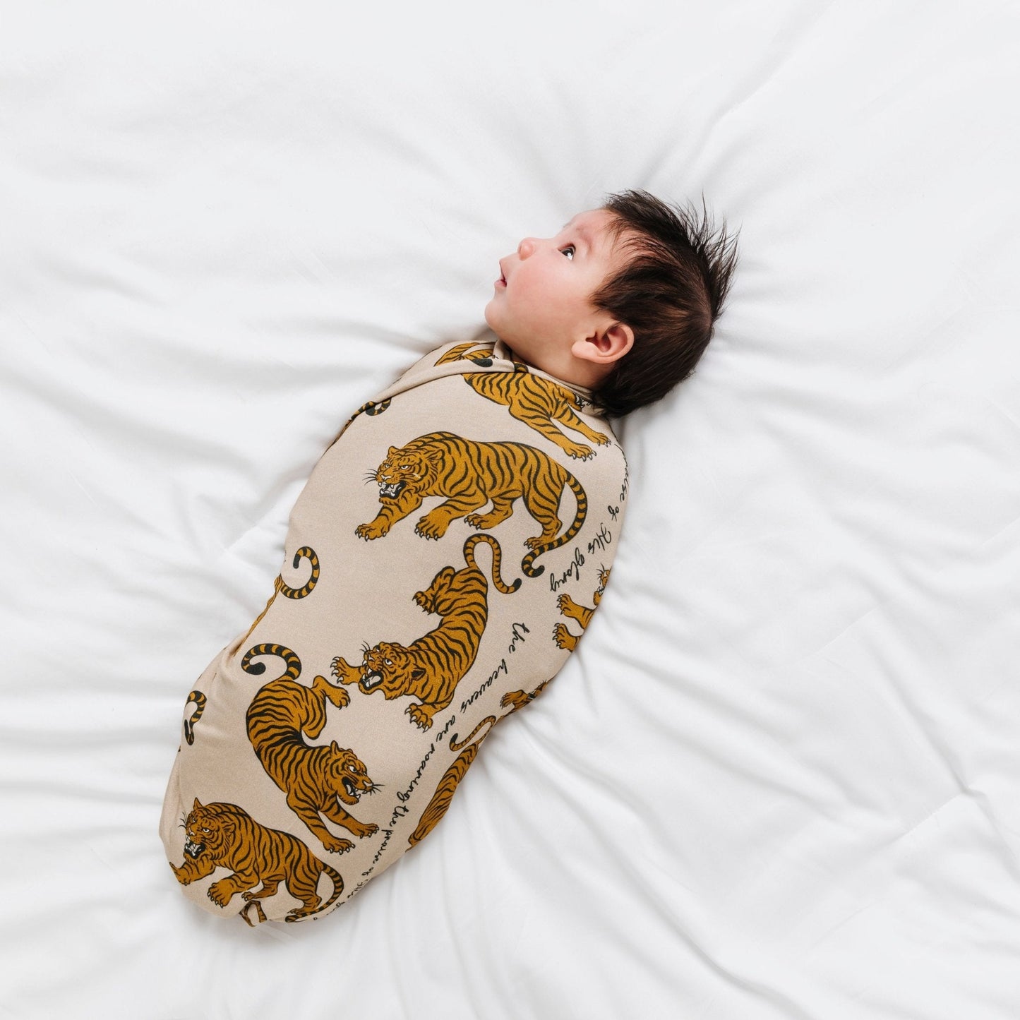 Roar Stretch Swaddle Blanket
